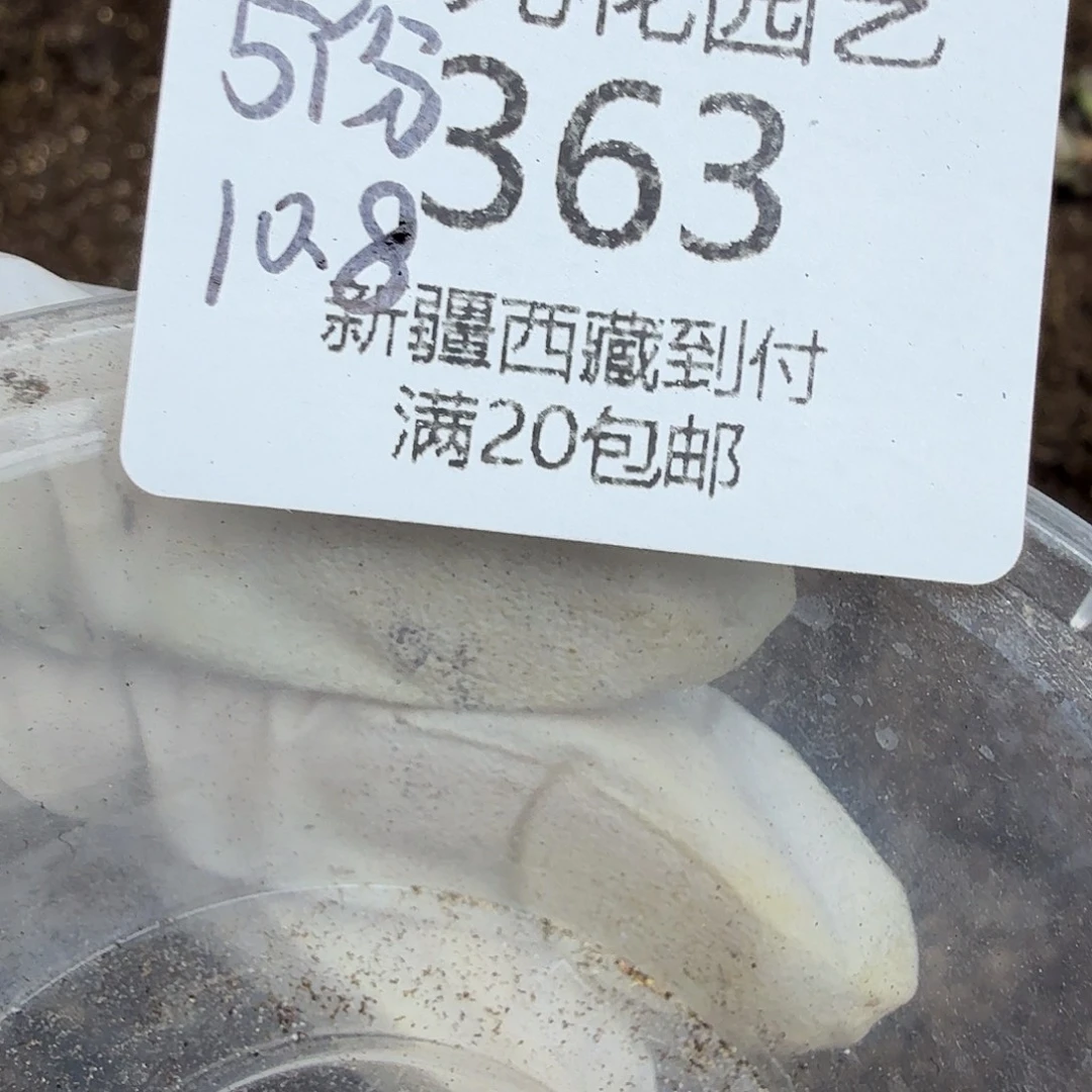 一万三点赞福利随机发363