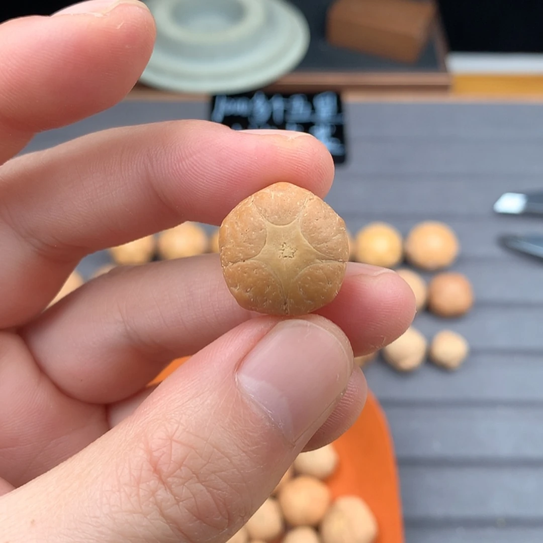 吊坠凤眼菩提18+五星，非质量问题开孔不退