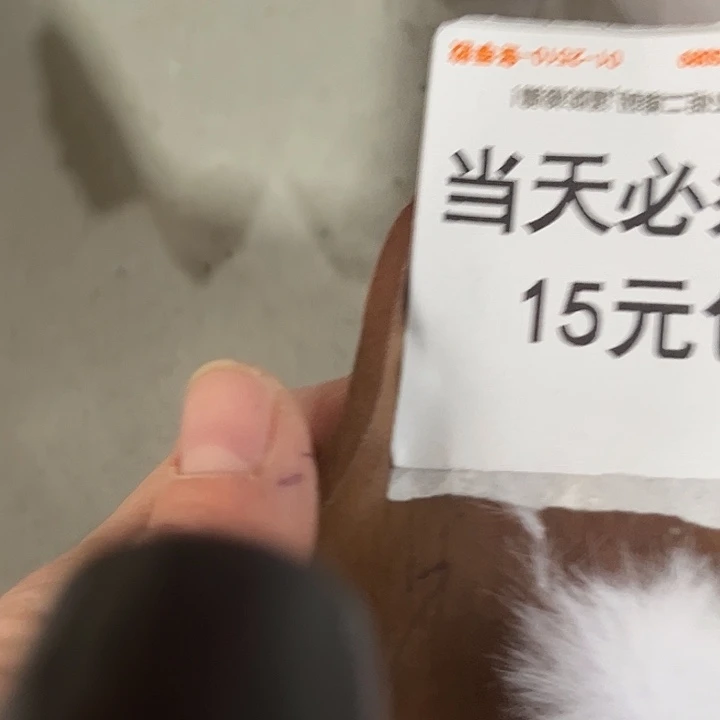 非金属白色毛片100