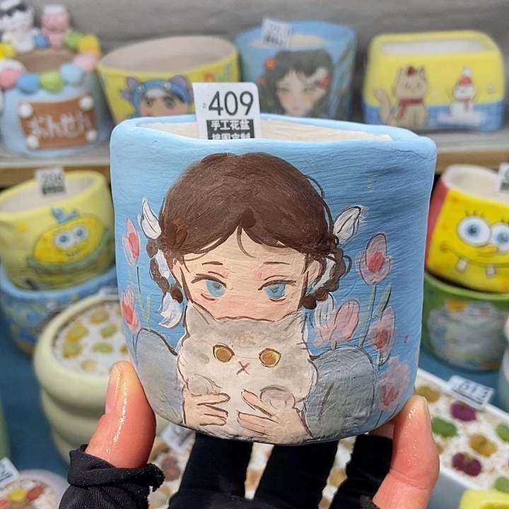 大舅生石花肉锥多肉409