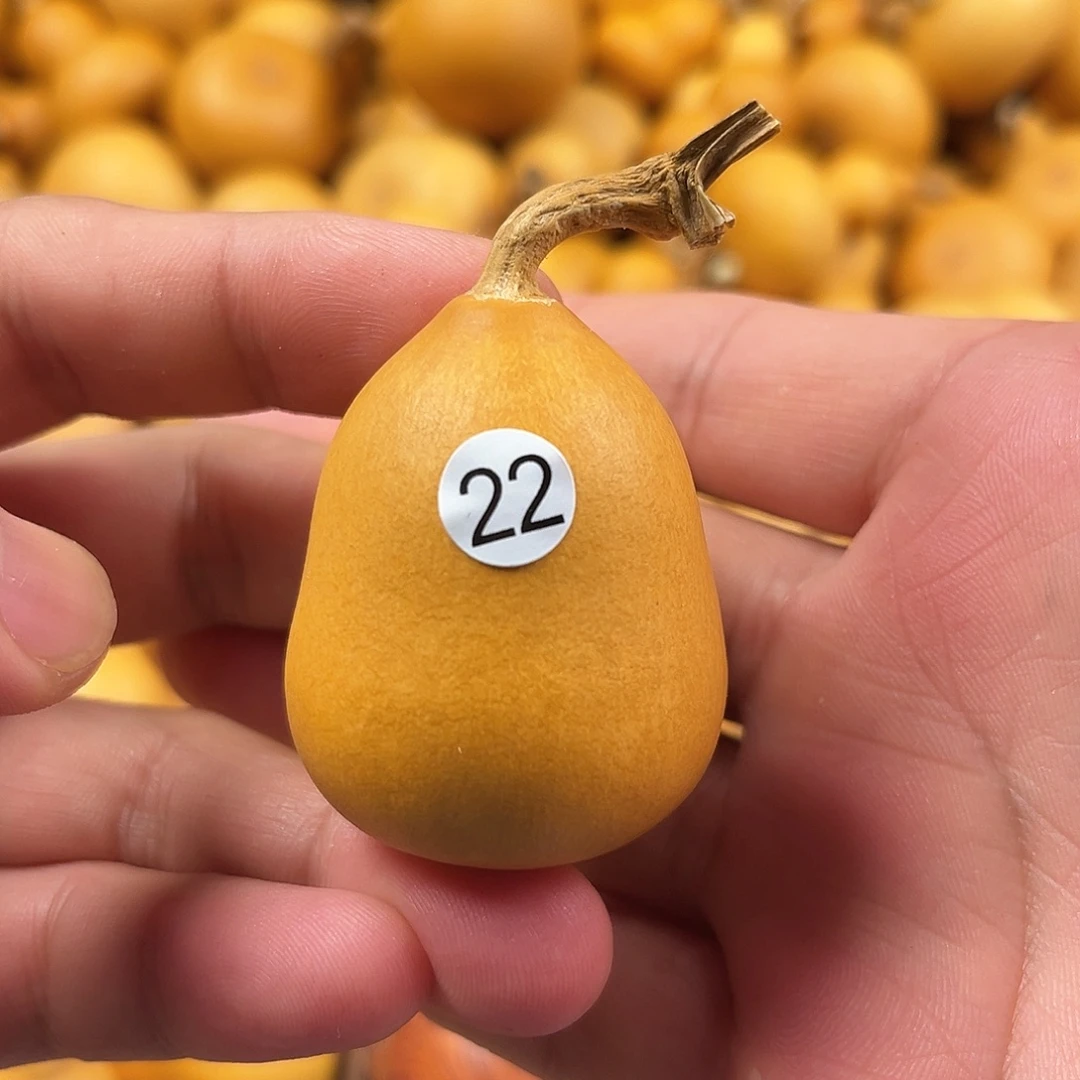 四葫芦葫芦葫芦葫芦22