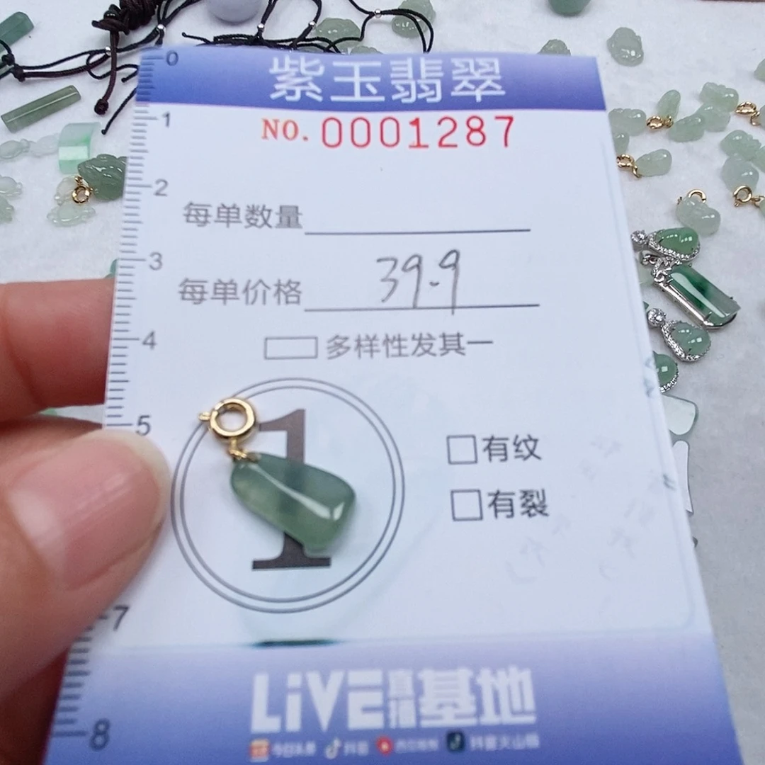 翡翠未镶嵌颈饰冰透随行