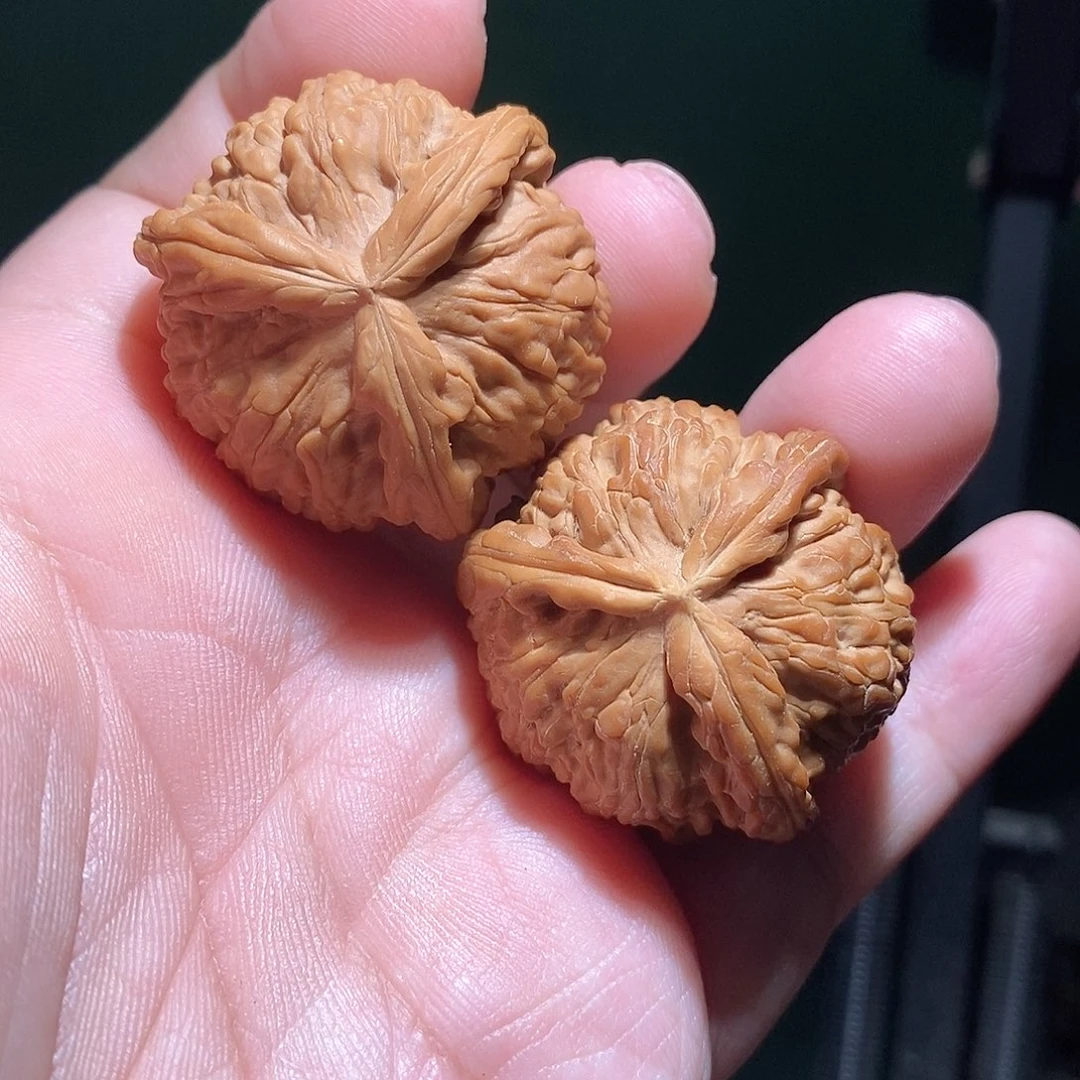 J***G把件文玩核桃37白奔