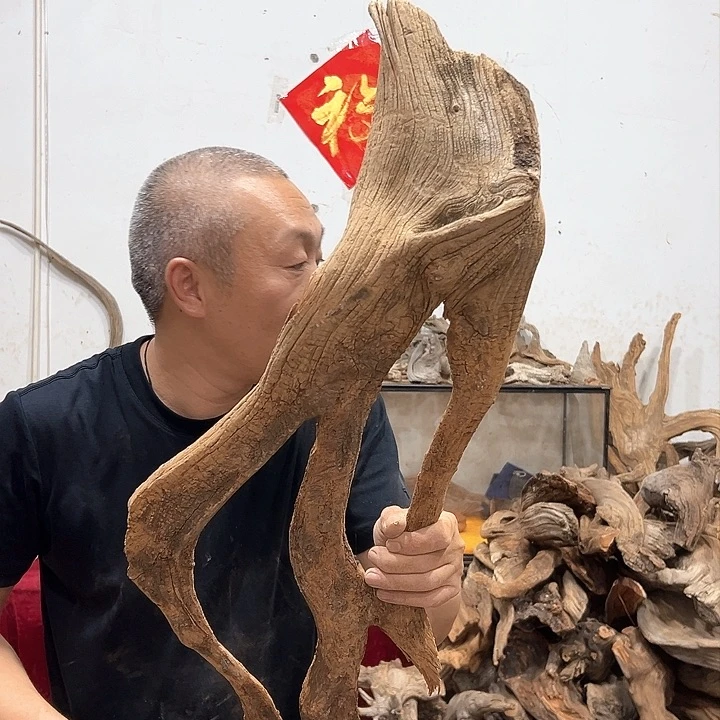 柏木C*S我们的生活也是如此的