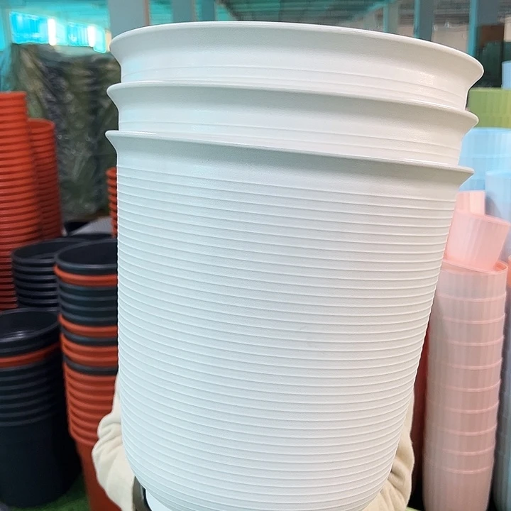 正品高陶口30高31白色3个无托