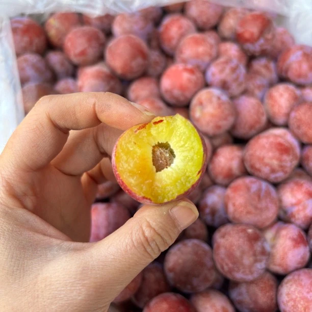 四川红脆李-爽脆多汁（酸酸甜甜）四川省