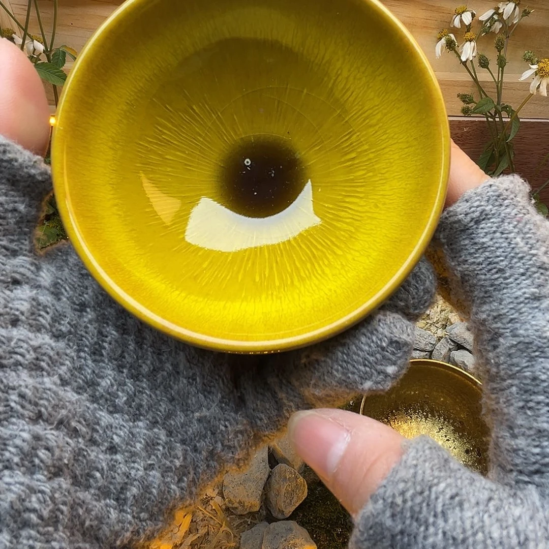 茶盏你是个很爱学习却也有