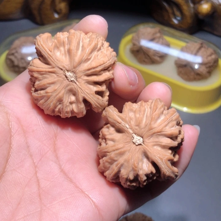 文玩核桃把件一*。42.5白狮子