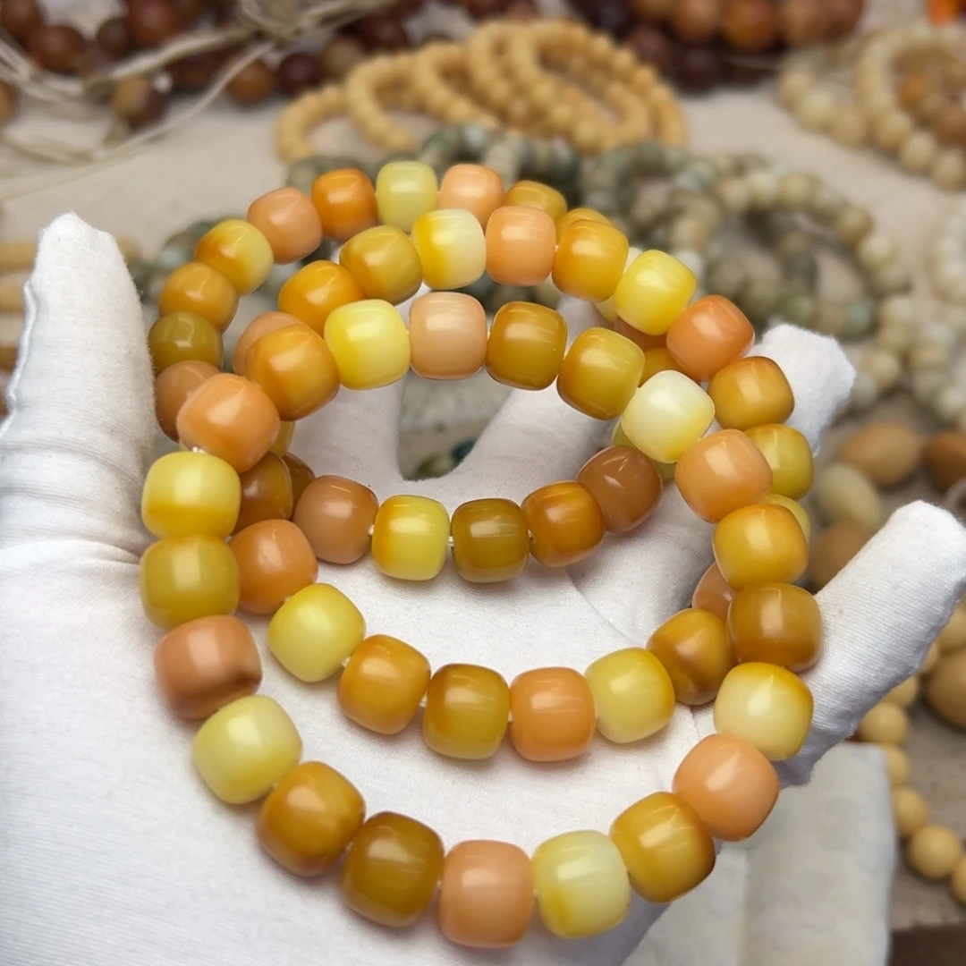 吊坠菩提根/象牙果1213干磨杨枝甘露发一条