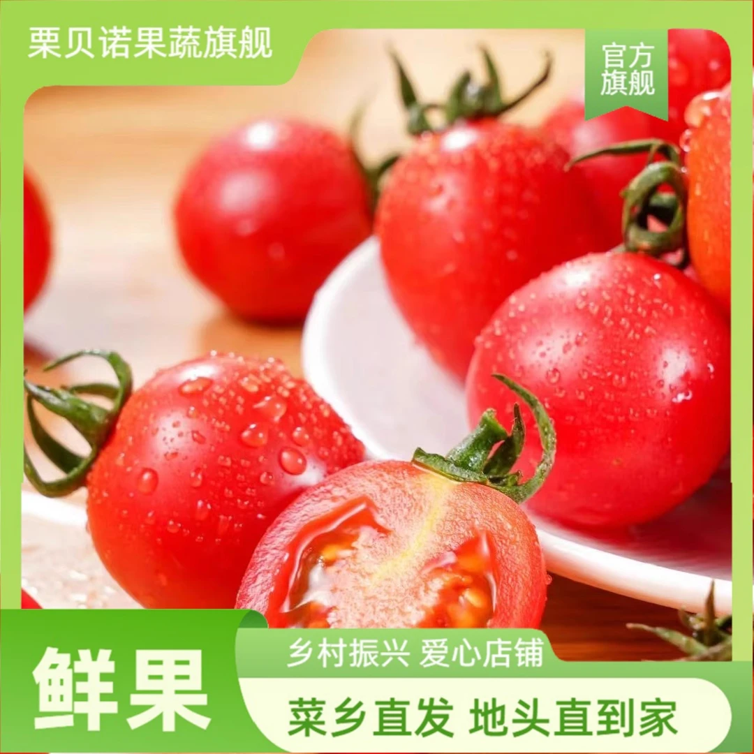圣女果山东千禧小番茄新鲜小柿子樱桃小西红柿孕妇水果现摘现发