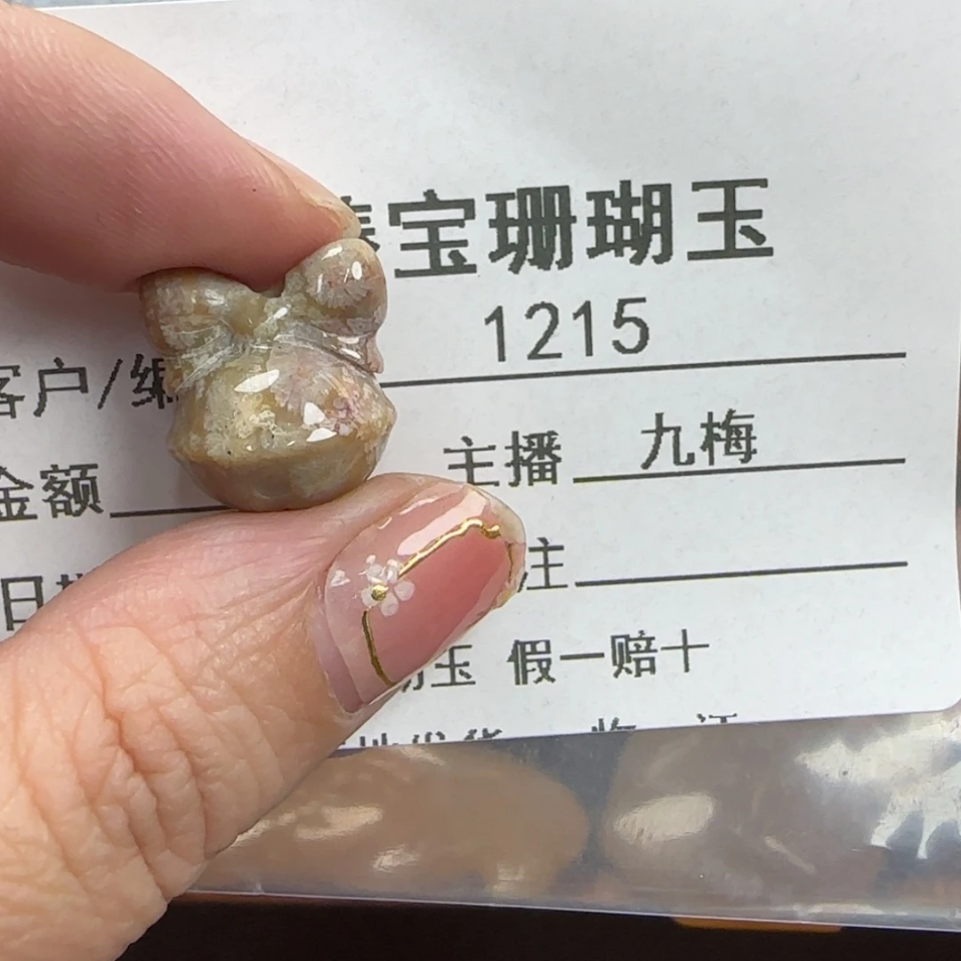 硅化珊瑚（珊瑚玉）未镶嵌颈饰