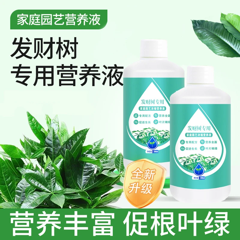 发财树营养液专用肥黄叶烂根急救水培绿植物家用盆栽通用养花肥料