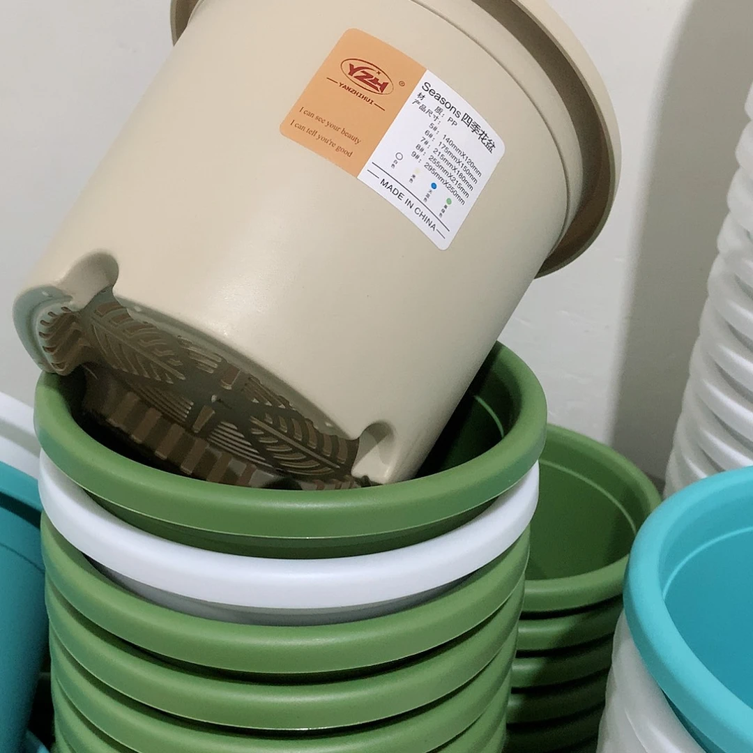 四季口17米黄5个无托