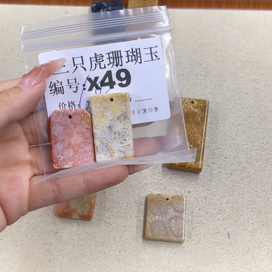 嘀***～硅化珊瑚（珊瑚玉）h未镶嵌