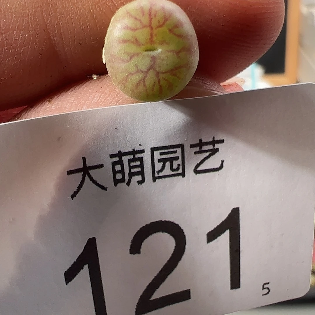 0000121 一物一拍……