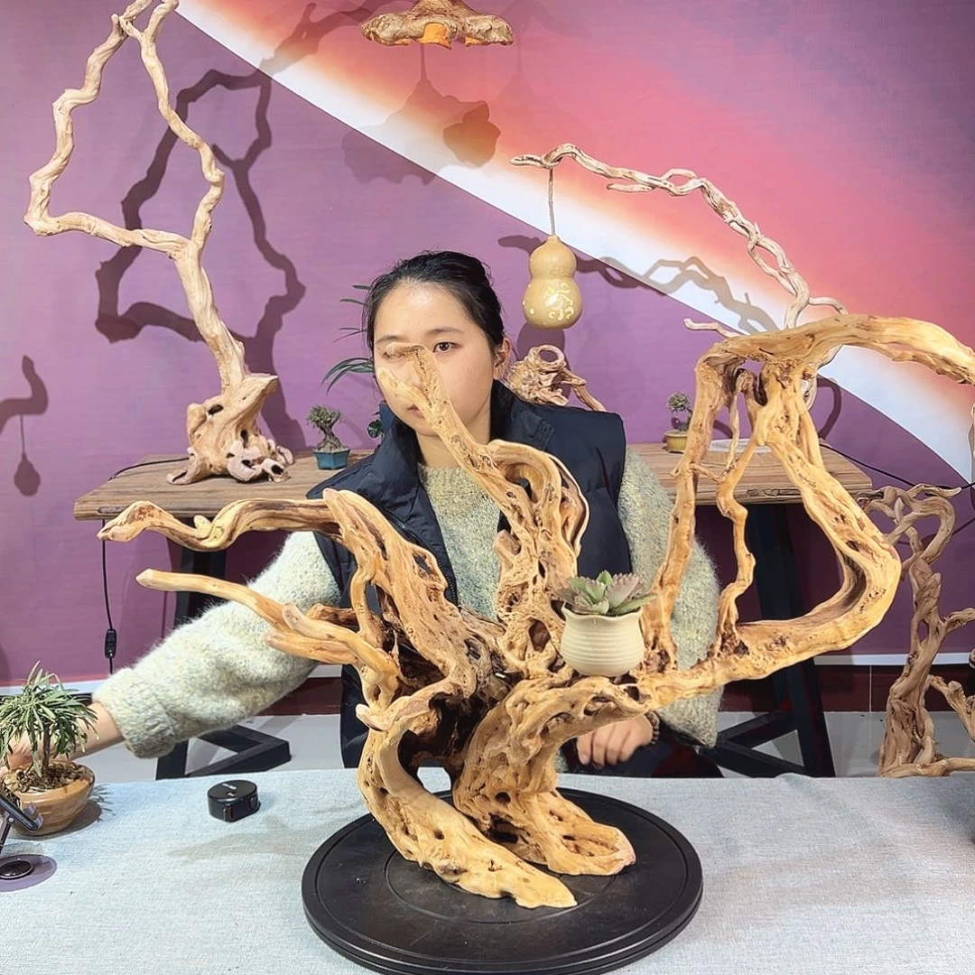 花***落木天然杜鹃根根艺摆件