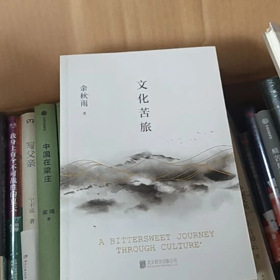 余秋雨文化苦旅。