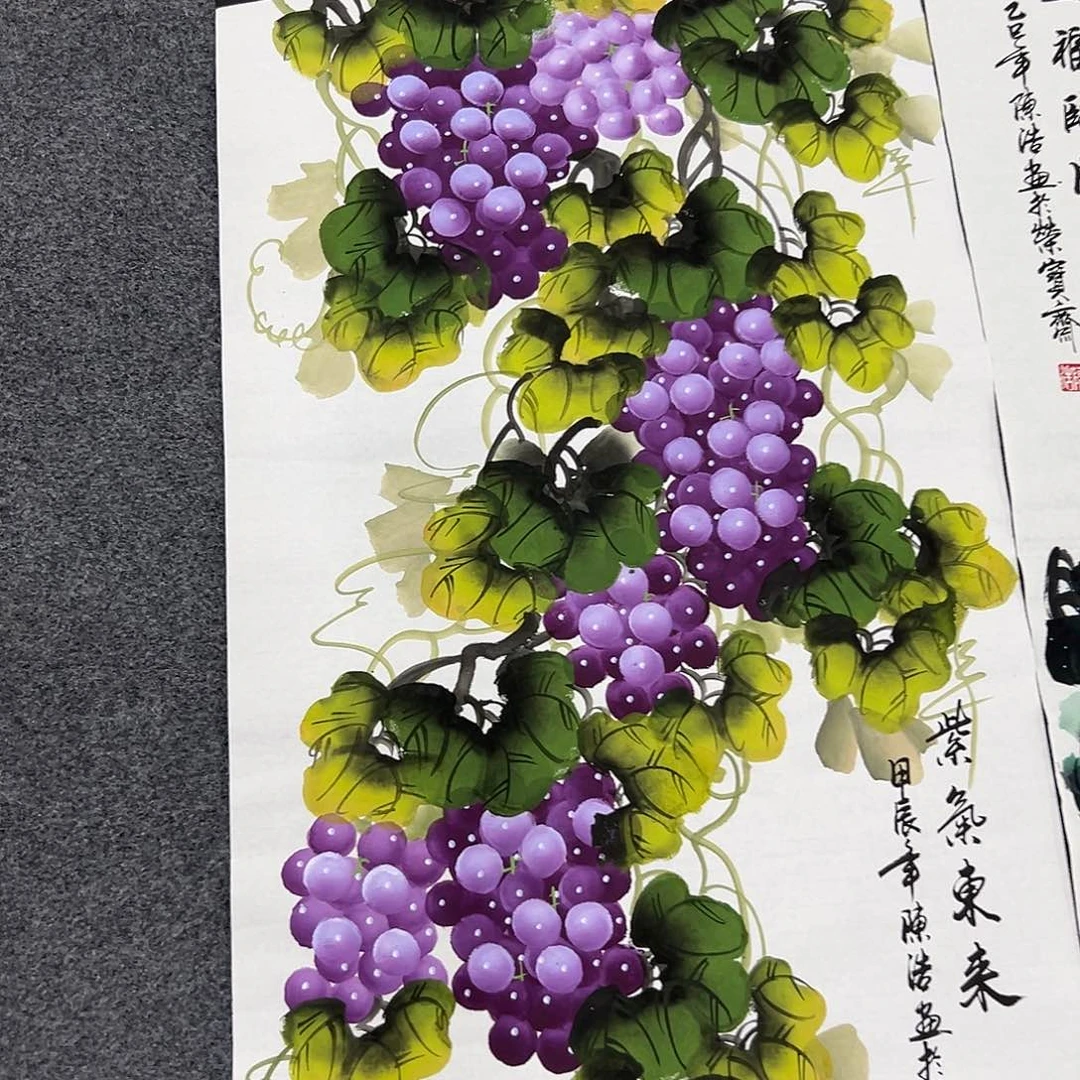 新号开播领福利了