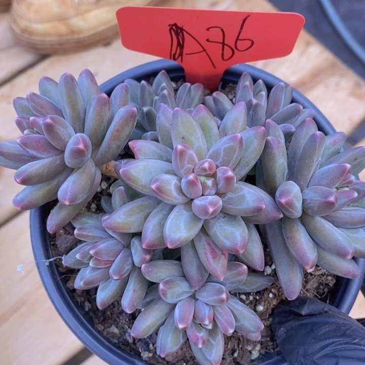 你也快回来吃饭哦我