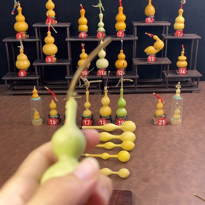 小***W葫芦山是我在贵州
