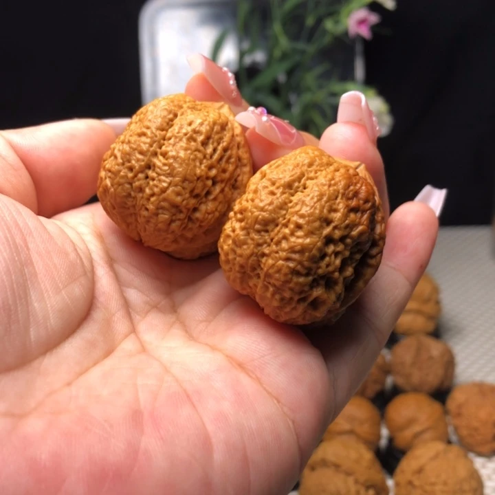 橄榄核吊坠26古树蚂蚁开背