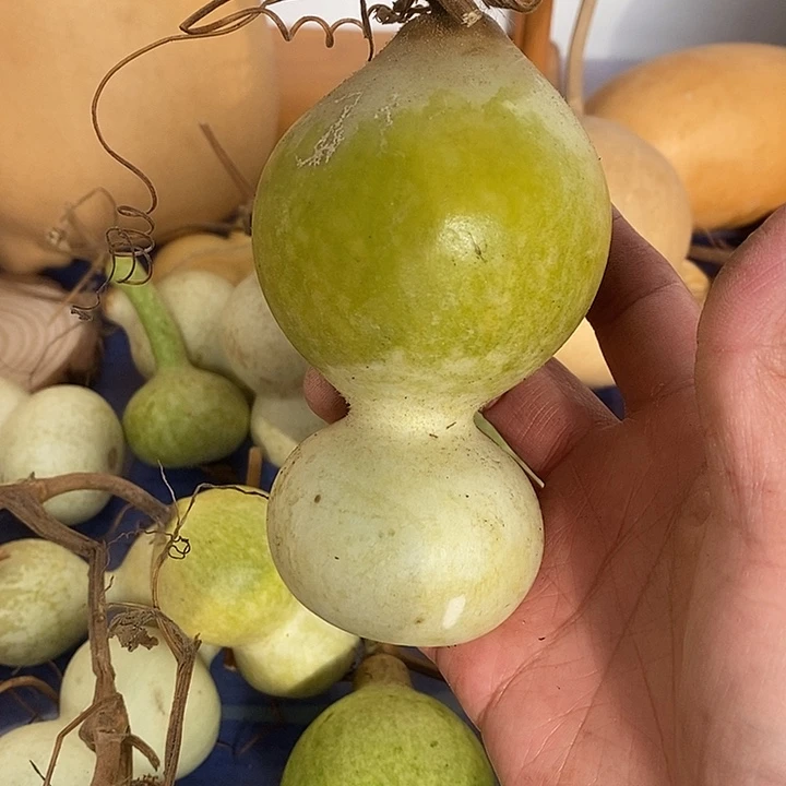 二***哥青皮葫芦手把件摆件