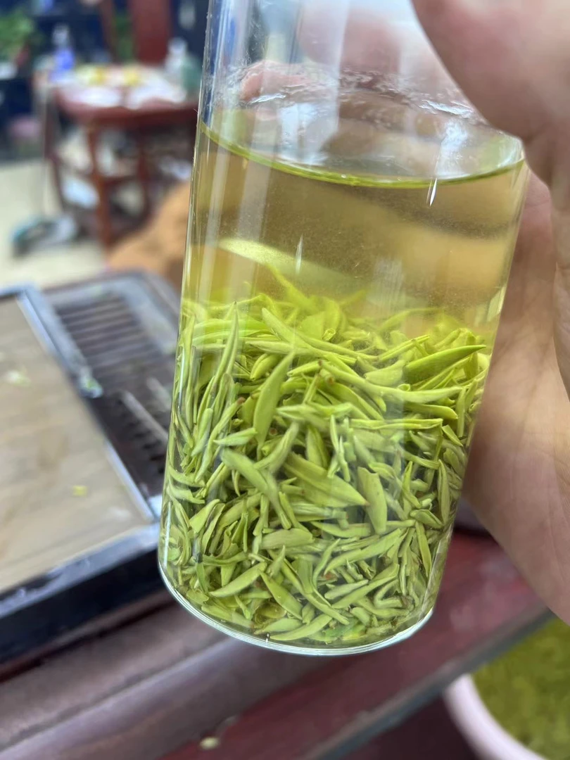 2025信阳毛尖 明前全芽1 花香浓郁 回甘好 福利茶老粉丝闭眼买