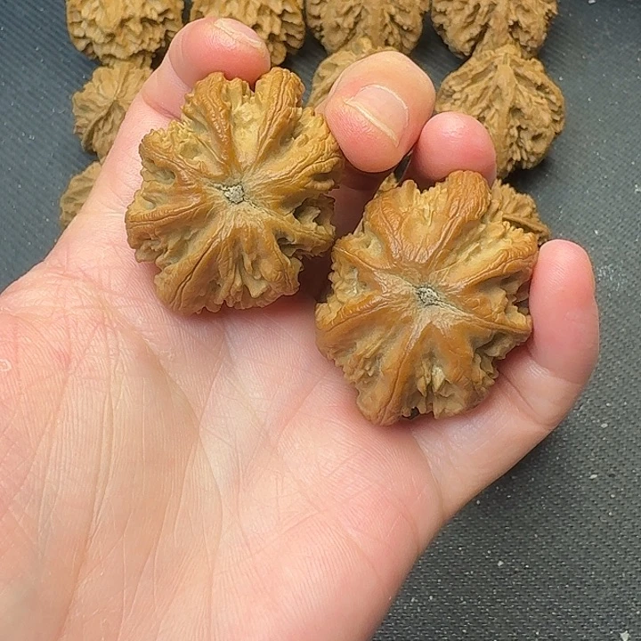 我也不知道我为什么要