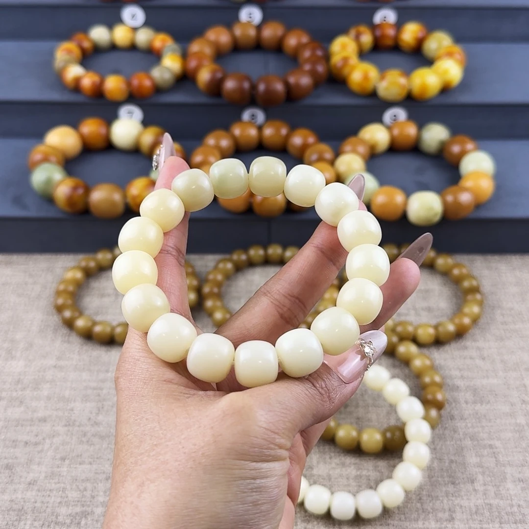 菩提根/象牙果吊坠李*泡