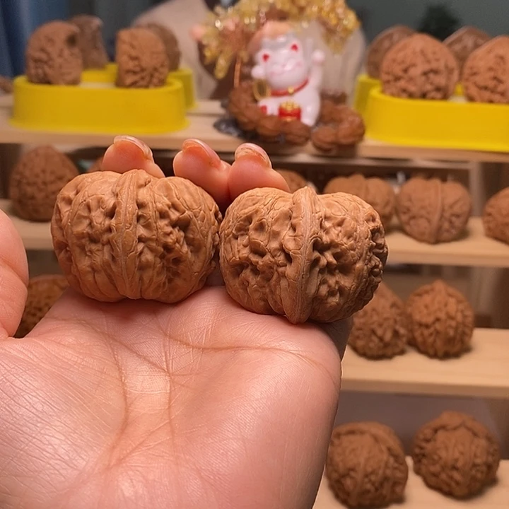 44尺寸的元宝核桃