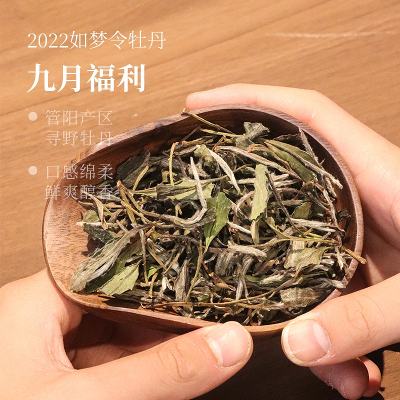 【九月福利】2022如梦令白牡丹 25克/盒 限购两份 福鼎管阳高山白茶