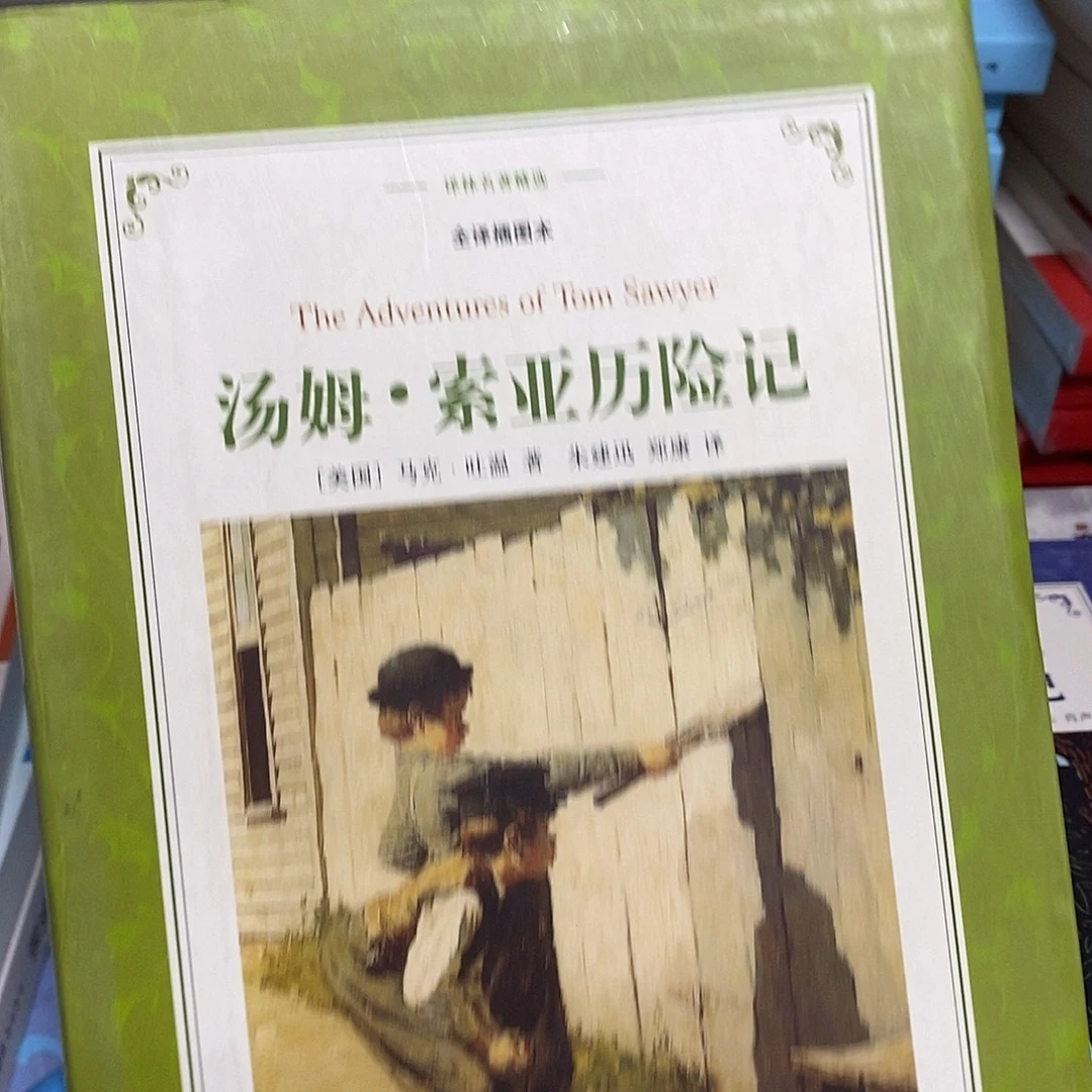 汤姆 索亚历险记