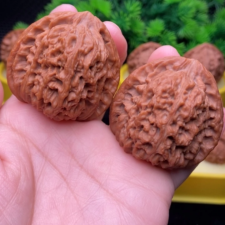 南疆44全品111111