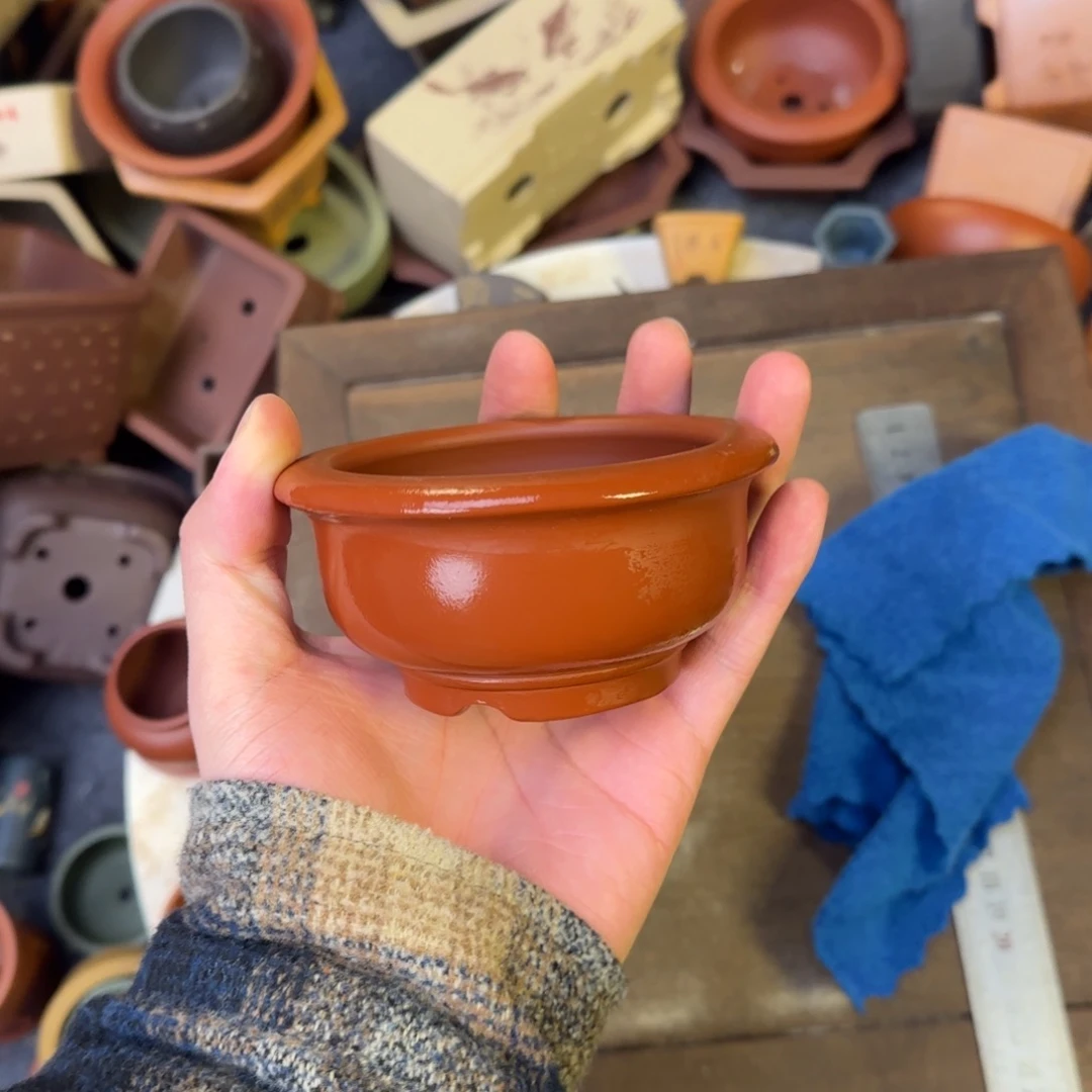 泥塑朱泥8+4vvvvvvvvvvvvv