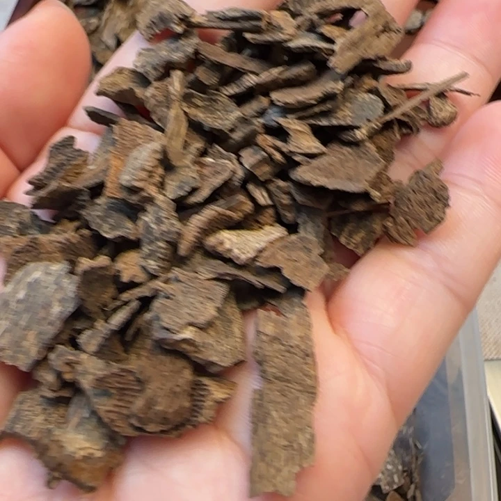 沉香摆件海南野生包头沉水5克