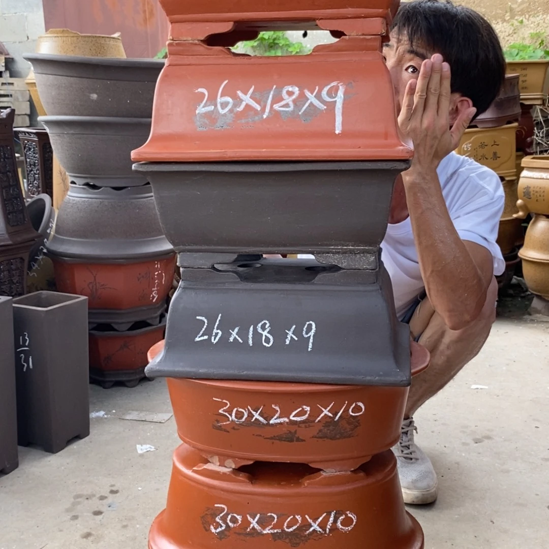 紫砂紫砂紫砂紫砂