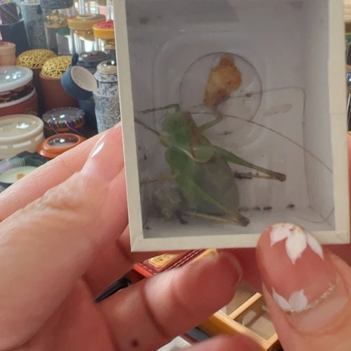 哈哈哈哈哈扎嘴两个