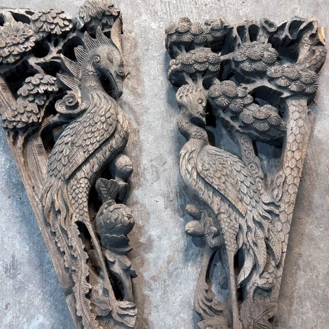 香榧木天**星这么样我不去