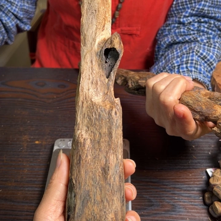 沉香摆件母树44克多样性发1条