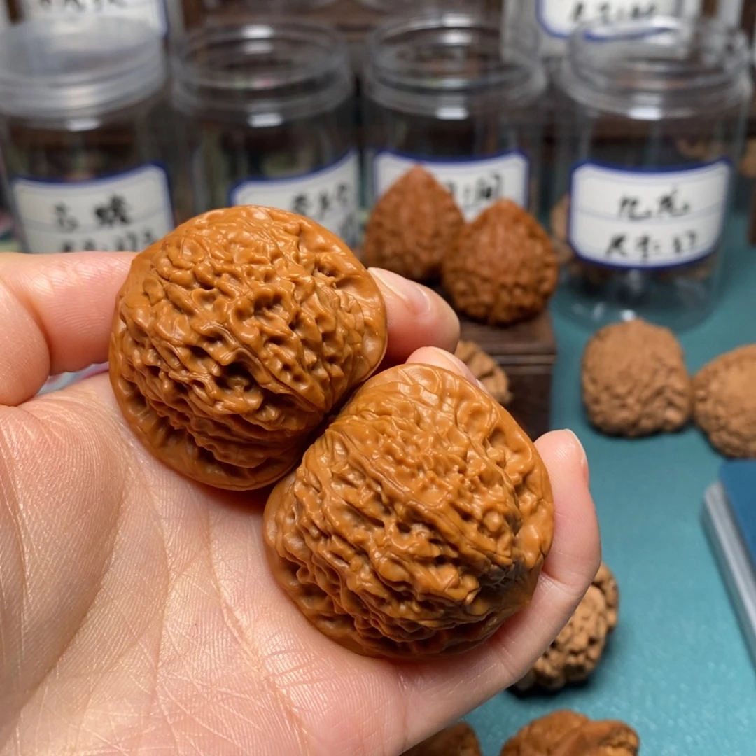 哈***！核桃41尺全品长生不老丹