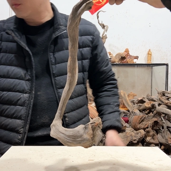 柏木青**上我们的生活也是如此