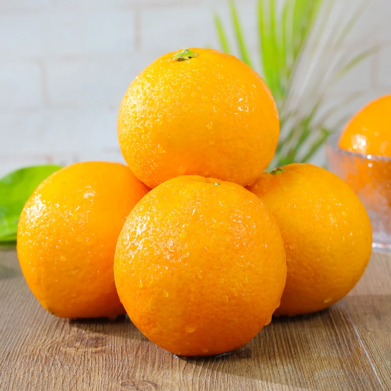 阿欢【坏果包赔】湖北秭归伦晚脐橙现摘现发新鲜应季水果4.5斤装