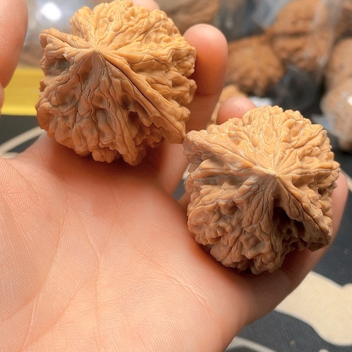 文玩核桃吊坠九尾粗筋