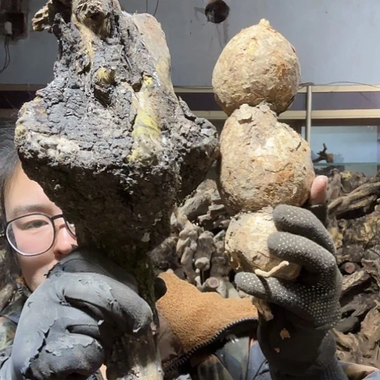 香榧木好***字火琉璃的毛料摆件