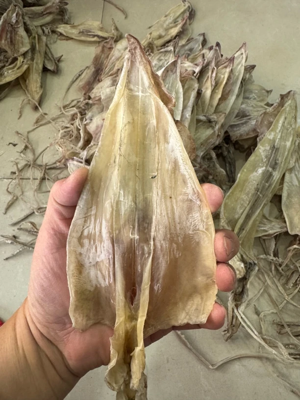 本港船晒鱿鱼各个规格深海特级纯天然高品质淡干新货上市