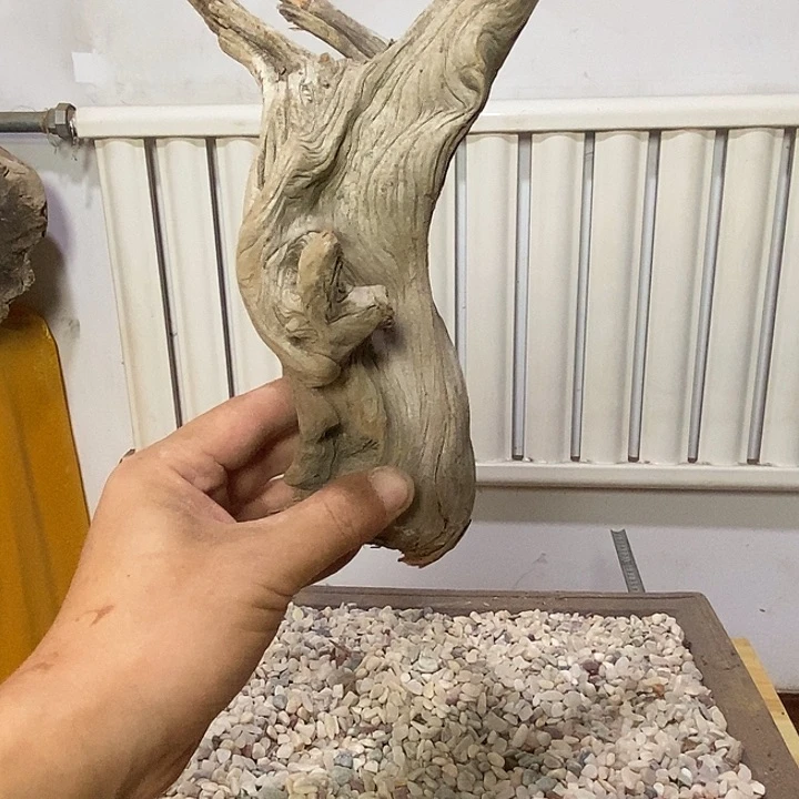 S***9柏木崖柏根雕天然艺术