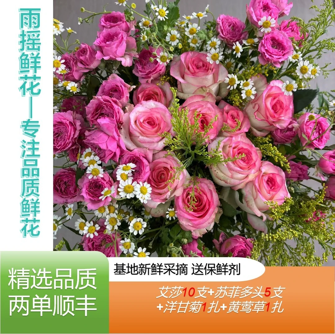 【艾莎+苏菲宝贝+洋甘菊+黄莺草】云南鲜花基地发任意拍两单发顺丰