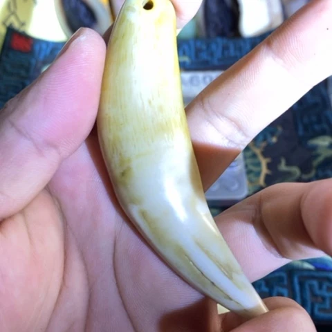 大哥专拍链接一号