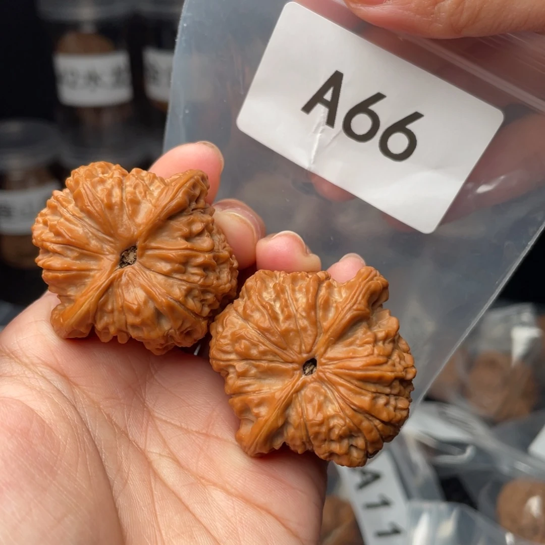 文玩核桃把件42血麒麟