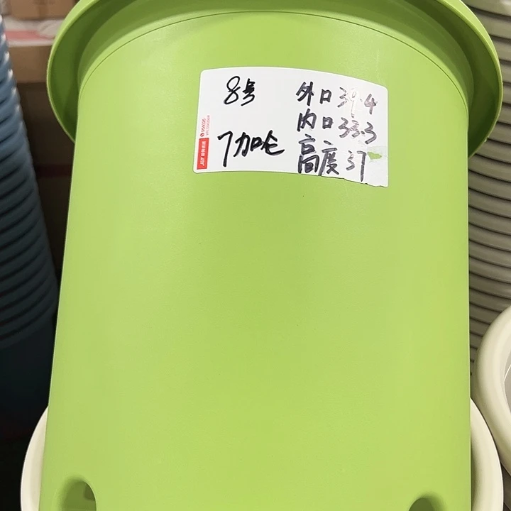 特价8号四季口39.4高37果绿无托3只